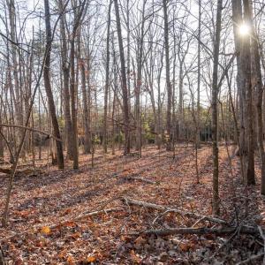 Photo #1 of WOODLAND DR, LURAY, VA 1.6 acres