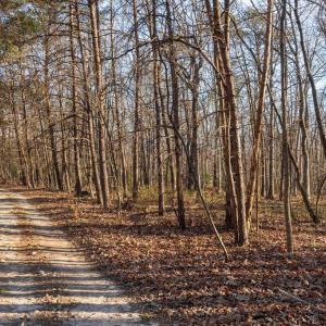 Photo #22 of WOODLAND DR, LURAY, VA 1.6 acres