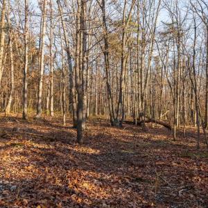 Photo #25 of WOODLAND DR, LURAY, VA 1.6 acres