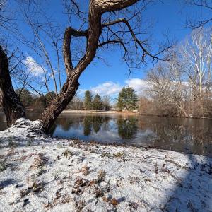 Photo #9 of MCALEXANDER RD, ORANGE, VA 1.5 acres