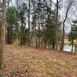 Photo #10 of MCALEXANDER RD, ORANGE, VA 1.5 acres