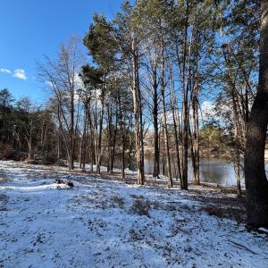 Photo #5 of MCALEXANDER RD, ORANGE, VA 1.5 acres