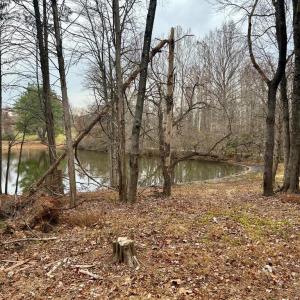 Photo #17 of MCALEXANDER RD, ORANGE, VA 1.5 acres