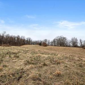 Photo #20 of MERRY OAKS RD, THE PLAINS, VA 57.8 acres