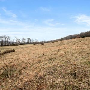 Photo #8 of MERRY OAKS RD, THE PLAINS, VA 57.8 acres
