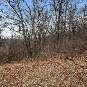 Photo #14 of MERRY OAKS RD, THE PLAINS, VA 57.8 acres