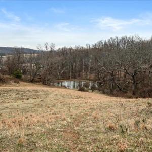 Photo #19 of MERRY OAKS RD, THE PLAINS, VA 57.8 acres