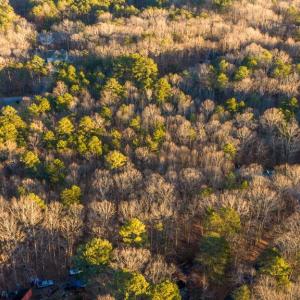 Photo #8 of 2318 WATERSIDE DR, BUMPASS, VA 1.0 acres