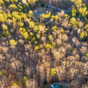 Photo #9 of 2318 WATERSIDE DR, BUMPASS, VA 1.0 acres