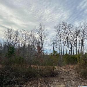 Photo #1 of BELSCHES RD, BUMPASS, VA 1.7 acres