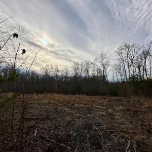 Photo #2 of BELSCHES RD, BUMPASS, VA 1.7 acres