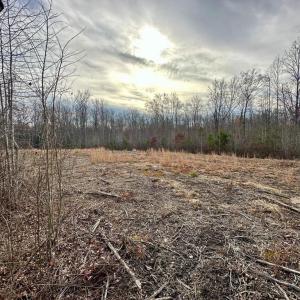 Photo #3 of BELSCHES RD, BUMPASS, VA 1.7 acres