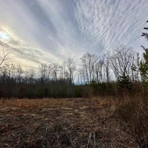 Photo #5 of BELSCHES RD, BUMPASS, VA 1.7 acres