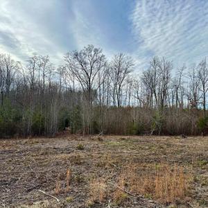 Photo #1 of BELSCHES RD, BUMPASS, VA 1.7 acres