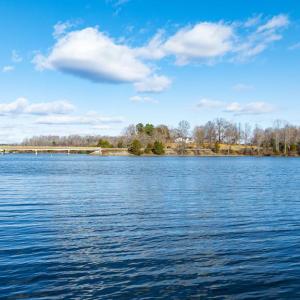 Photo #8 of 16105 HARRIS CT, ORANGE, VA 2.1 acres