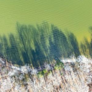 Photo #21 of 16110 HARRIS CT, ORANGE, VA 3.7 acres