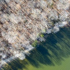 Photo #7 of 16125 HARRIS CT, ORANGE, VA 3.6 acres