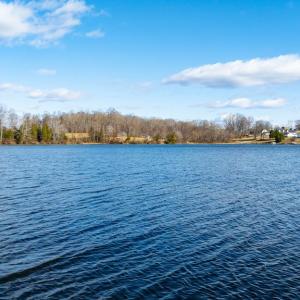 Photo #3 of 16125 HARRIS CT, ORANGE, VA 3.6 acres