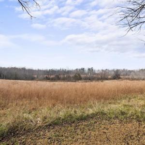 Photo #13 of 7389 LEEDS MANOR RD, MARSHALL, VA 101.0 acres