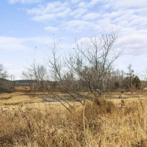 Photo #22 of 7389 LEEDS MANOR RD, MARSHALL, VA 101.0 acres