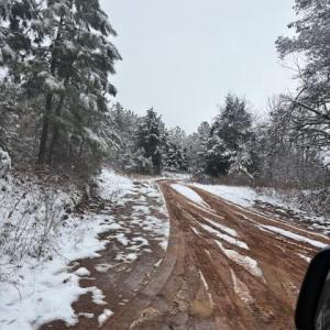 Photo #2 of  25.1 acres