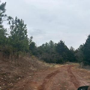 Photo #4 of  25.1 acres