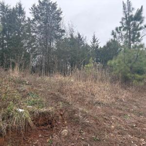 Photo #5 of  25.1 acres