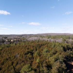 Photo #6 of  25.1 acres