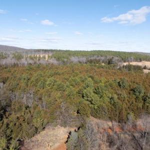 Photo #7 of  25.1 acres