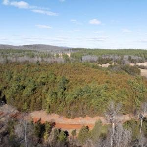 Photo #8 of  25.1 acres