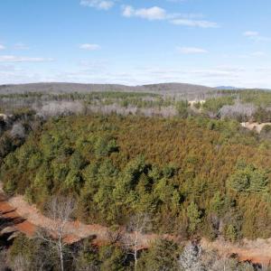 Photo #9 of  25.1 acres