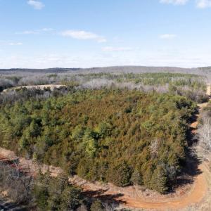 Photo #10 of  25.1 acres