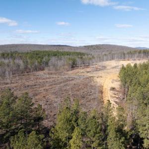 Photo #11 of  25.1 acres