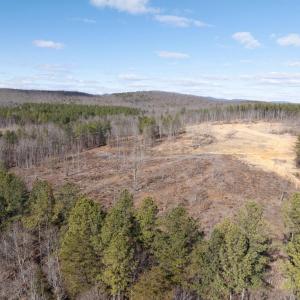 Photo #12 of  25.1 acres