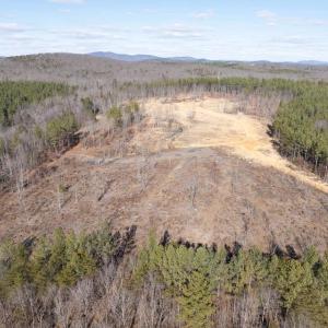 Photo #13 of  25.1 acres