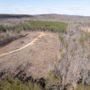 Photo #14 of  25.1 acres