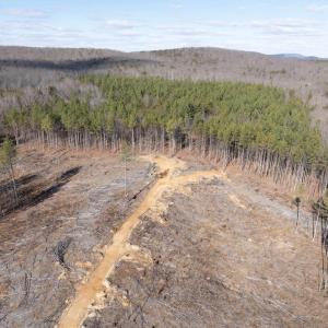 Photo #15 of  25.1 acres