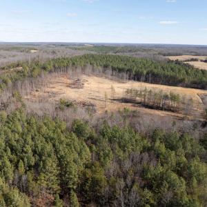 Photo #16 of  25.1 acres