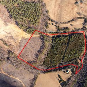 Photo #18 of  25.1 acres