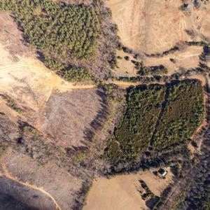 Photo #19 of  25.1 acres