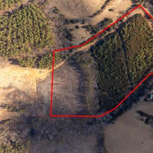 Photo #1 of  25.1 acres