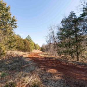 Photo #21 of  25.1 acres