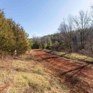 Photo #22 of  25.1 acres