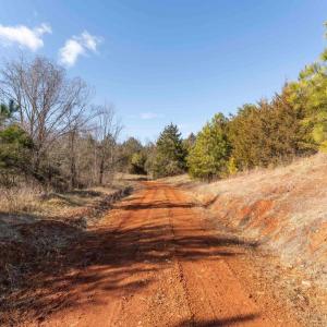 Photo #23 of  25.1 acres