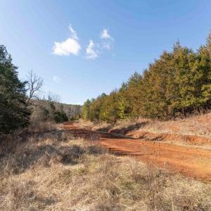 Photo #24 of  25.1 acres