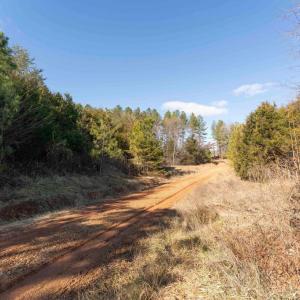 Photo #25 of  25.1 acres