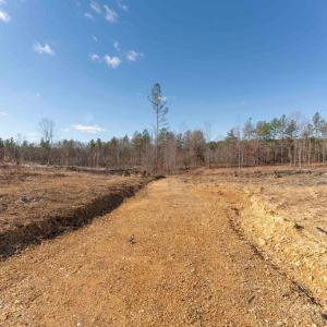 Photo #26 of  25.1 acres