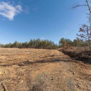 Photo #27 of  25.1 acres