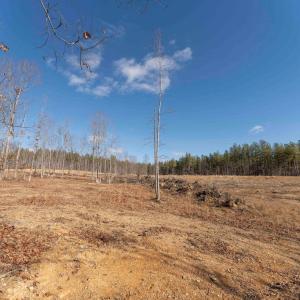 Photo #28 of  25.1 acres