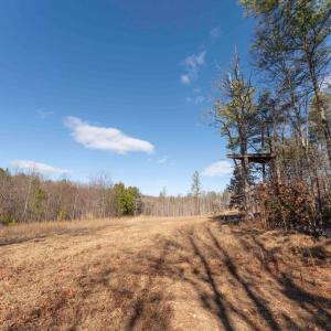 Photo #29 of  25.1 acres